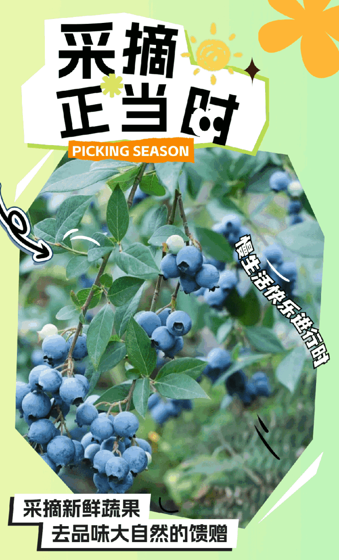 桃地再不斩和白_白桃_桃白百《戎先生的失恋日记》