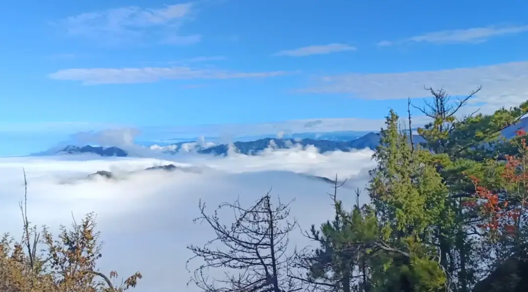 遗世独立的理想乡图片_嘉兴世合理想大地_遗世独立的理想乡