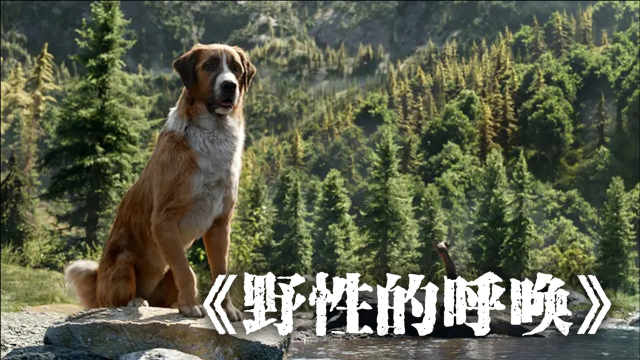 野性呼唤怎么联机_呼唤下载_野性的呼唤游戏手机版破解