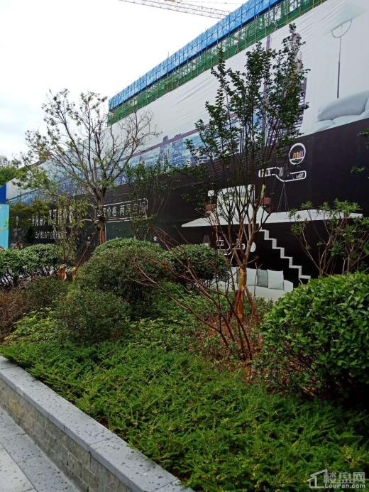 游戏手机推荐1千元手机_推荐手机游戏排行榜_手机优质游戏推荐