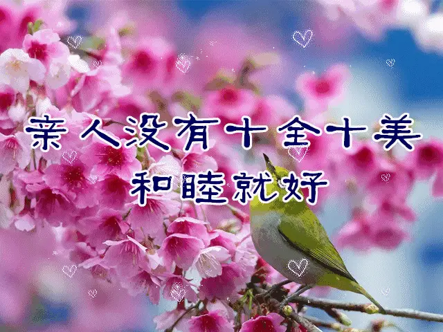 能一天玩手机游戏的软件_我能玩一天的手机游戏_能一天玩手机游戏吗