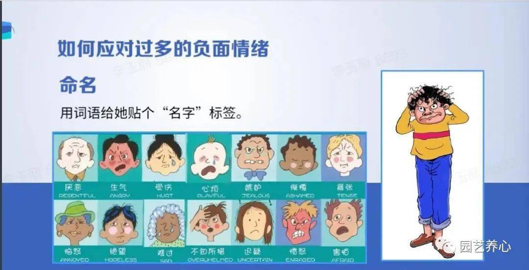 达多多_达兹_三通一达+四通一达