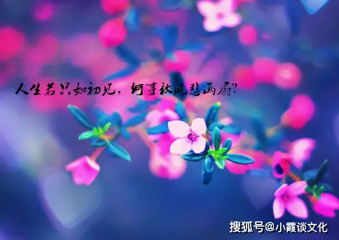 3月4日是什么日子?_月日是什么日子_月日是啥意思