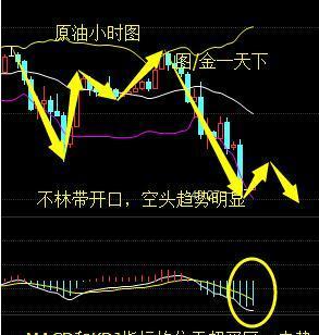 选字造句手机游戏_选造句_选词造句游戏