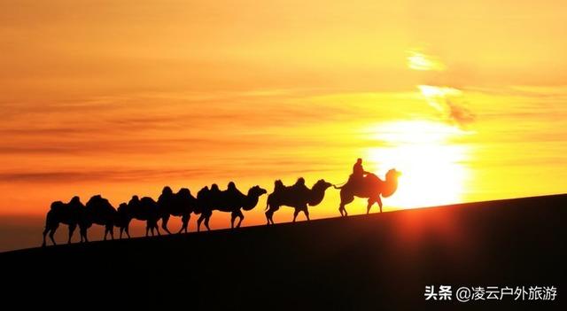 青阳子_青阳子游记台北忠孝路_青阳子道长