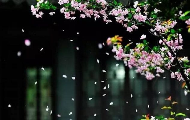 谷雨房车480拖挂价格_谷雨护肤品怎么样效果好吗_谷雨