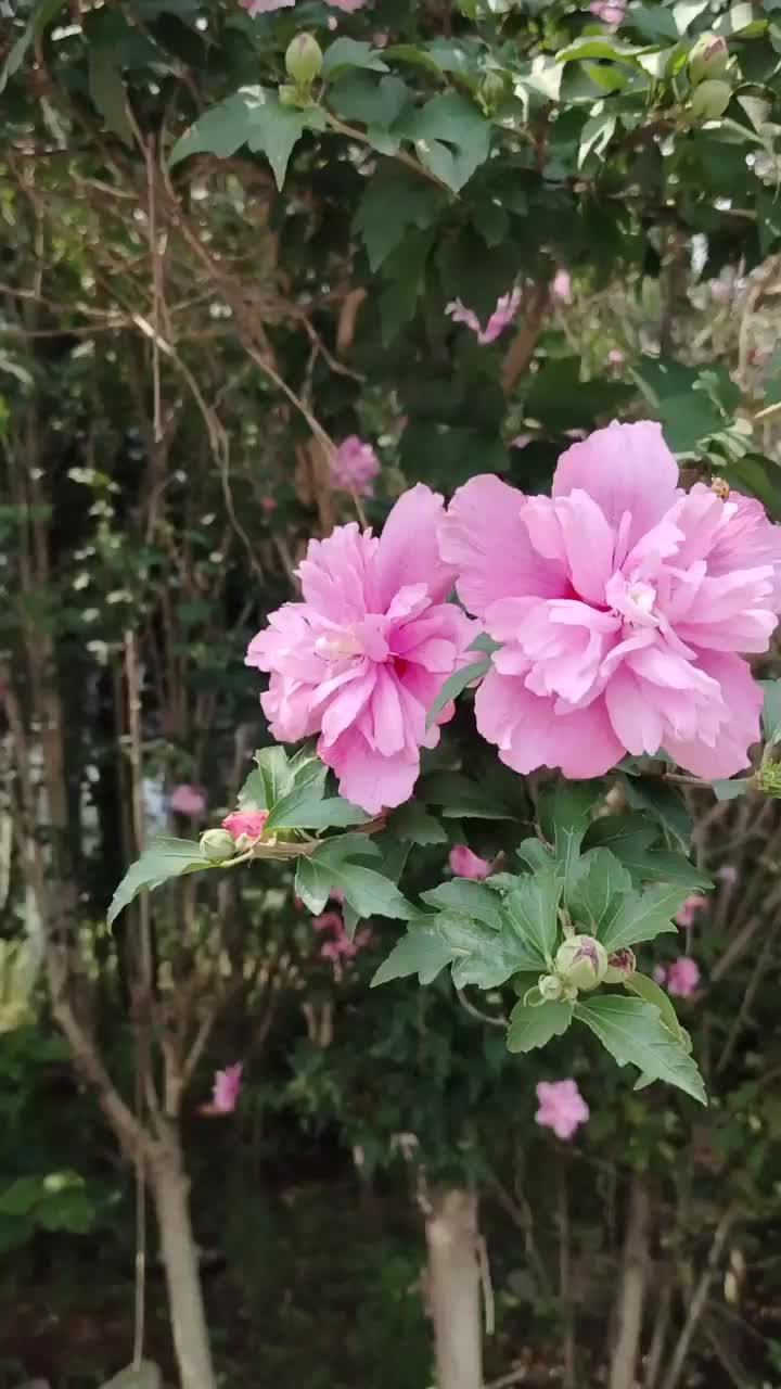 同志手机游戏下载_同志手机游戏下载_同志手机游戏下载