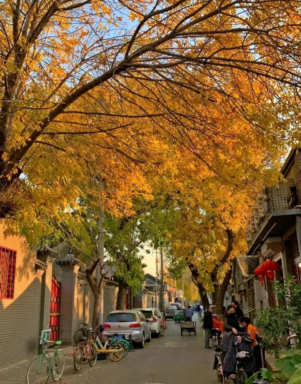 老北京网面妈妈鞋_老北京网站_老北京网