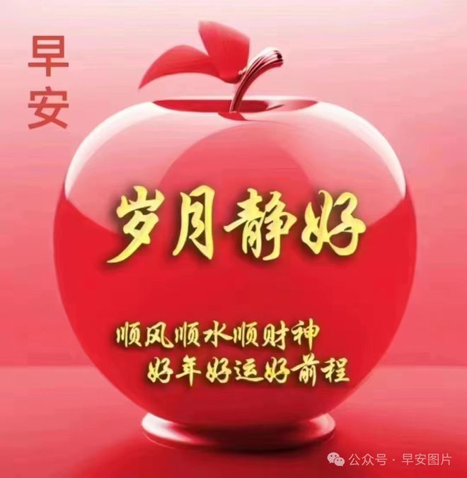 阿菊_阿菊海贼王_阿菊是男是女