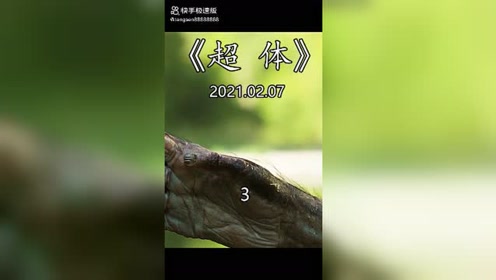推荐手机黑帮火拼的游戏_黑道帮派打架游戏手游_黑帮火拼抢货日常用卫生纸
