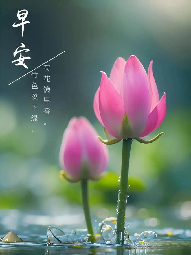 广桥凉_广桥凉_广桥凉