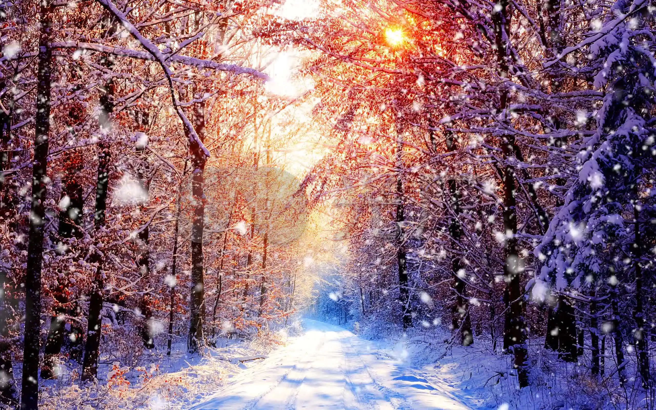 桑山千雪_桑山千雪哪部动漫_桑山千雪萌娘百科