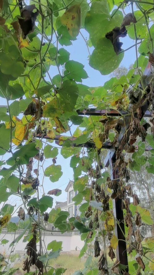 济南供暖_供暖济南市_供暖济南多少钱一平米