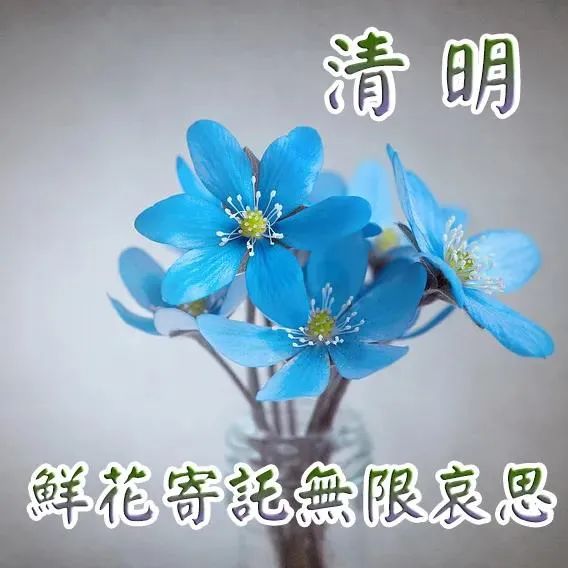 清明简介200字_清明简介_24节气清明简介