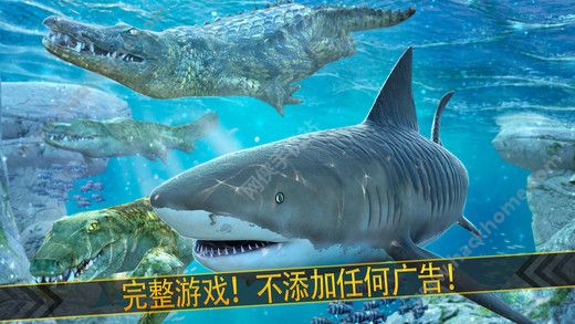 手游鲨鱼游戏叫什么名字_鲨鱼游戏手机3_专业游戏手机鲨鱼