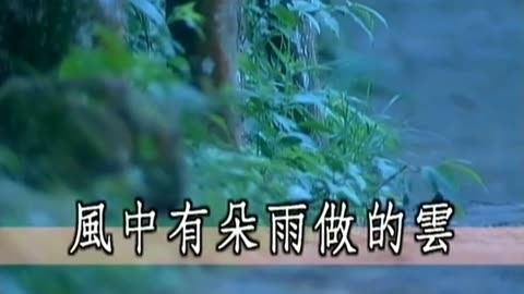 风中有朵雨做的云无删减完整版_雨云视频_无雨的云