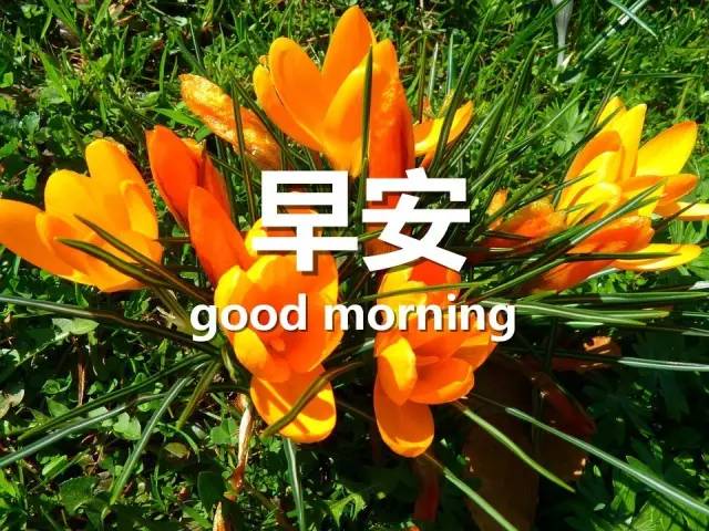 2022年11月15日_那年有润月年_哈尼十月年