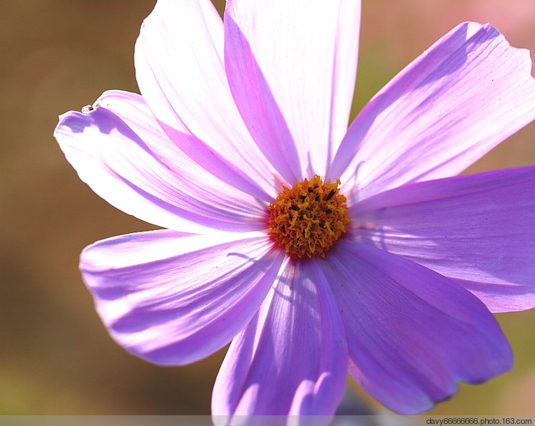 性奴手机游戏_性奴手机游戏_性奴手机游戏