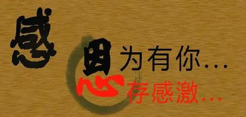 无言游戏第三章攻略_无言手机游戏攻略_无言攻略