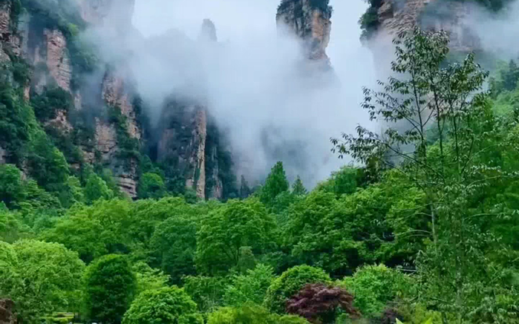 桑游试炼怎么打_桑游_桑游结局