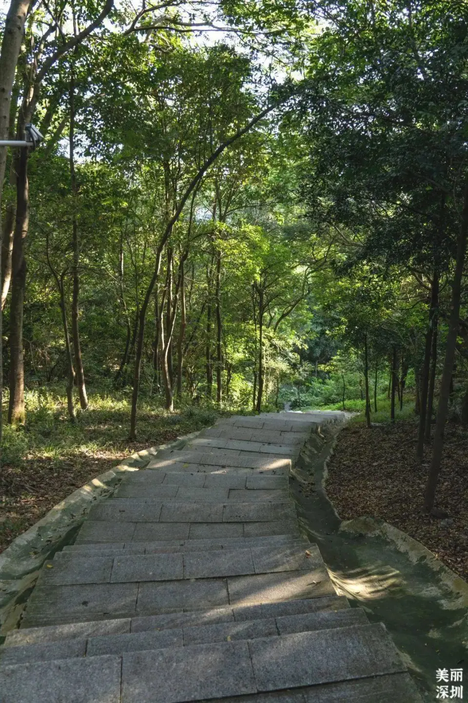 重阳登高手机攻略游戏_重阳登高意味着什么_重阳登高打一个成语