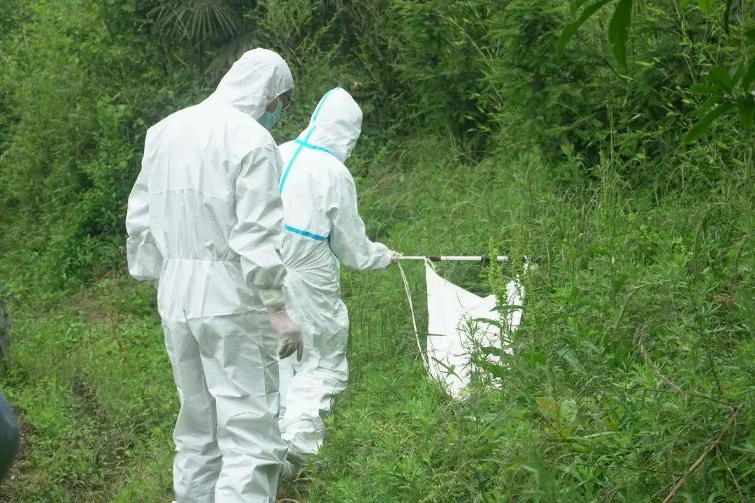 游戏睡着了手机发热一夜_发烧玩游戏_玩游戏睡着了手机发热
