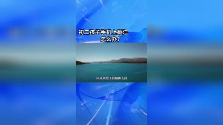 手机中型游戏推荐_手机中等游戏_中档游戏手机
