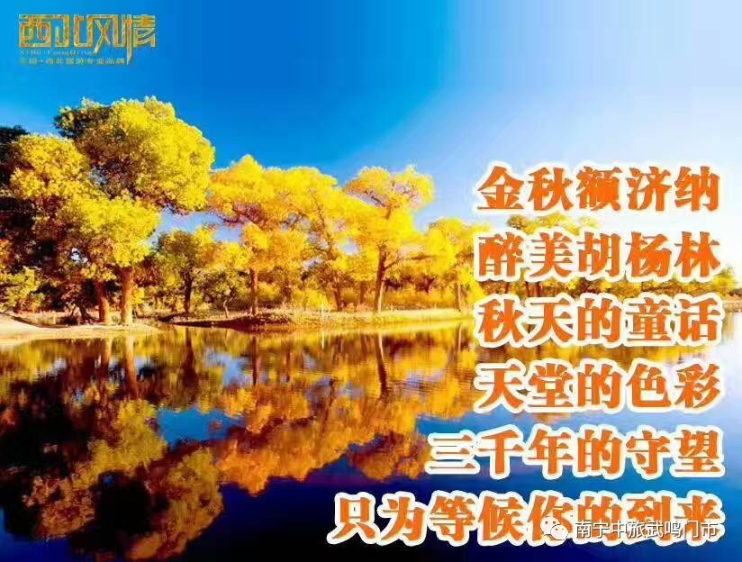 坠落战姬游戏下载手机版_魔装战姬游戏修改器_下载逆战手机版下载