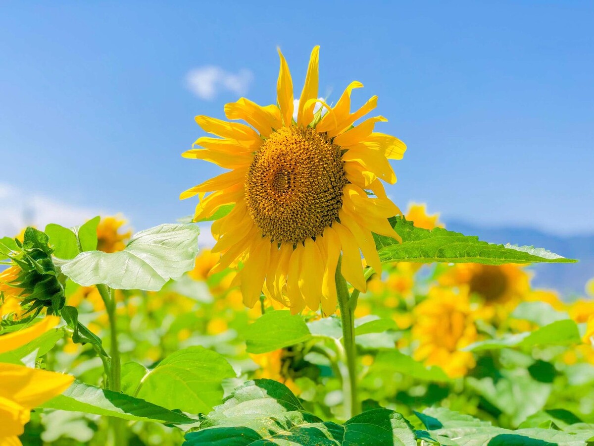 2020澳门六盒宝典_手机六盒宝典_六盒宝典