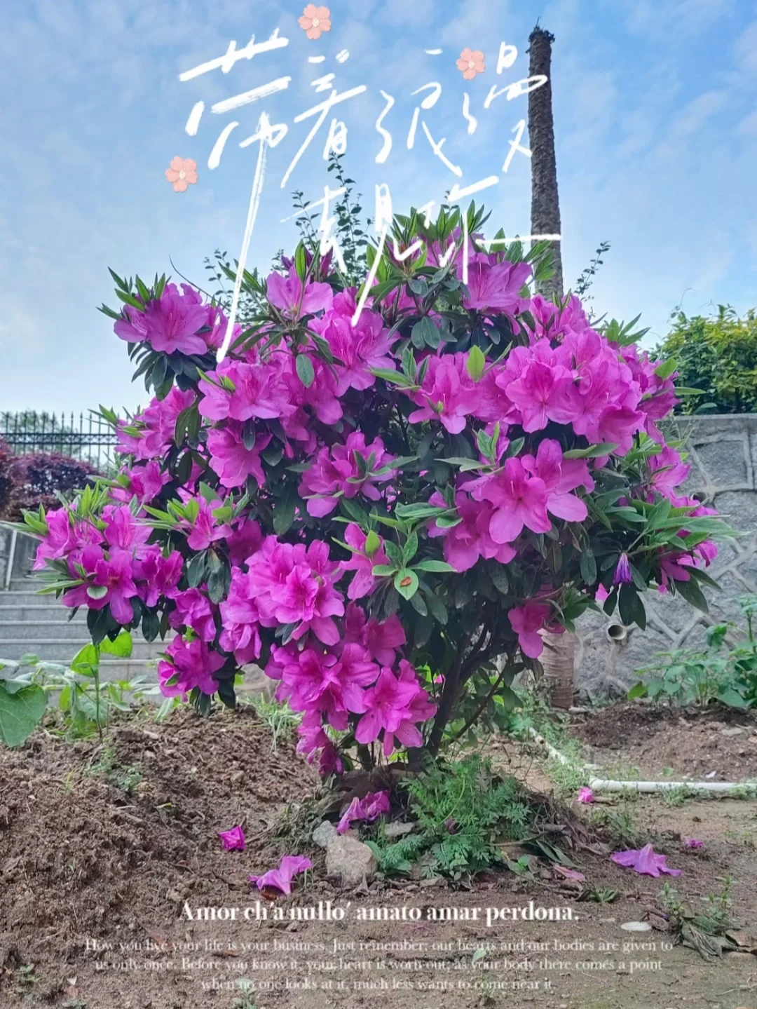 宿舍游戏软件_宿舍找手机游戏_在宿舍有什么游戏可以玩