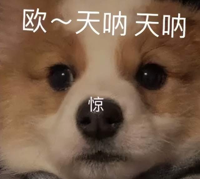 腾讯游戏手机游戏排名_腾讯游戏手机排行榜_游戏腾讯排名手机排第几