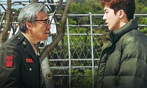 犯罪都市2在线观看_犯罪都市在线观看高清版完整版_犯罪天使那里可以观看