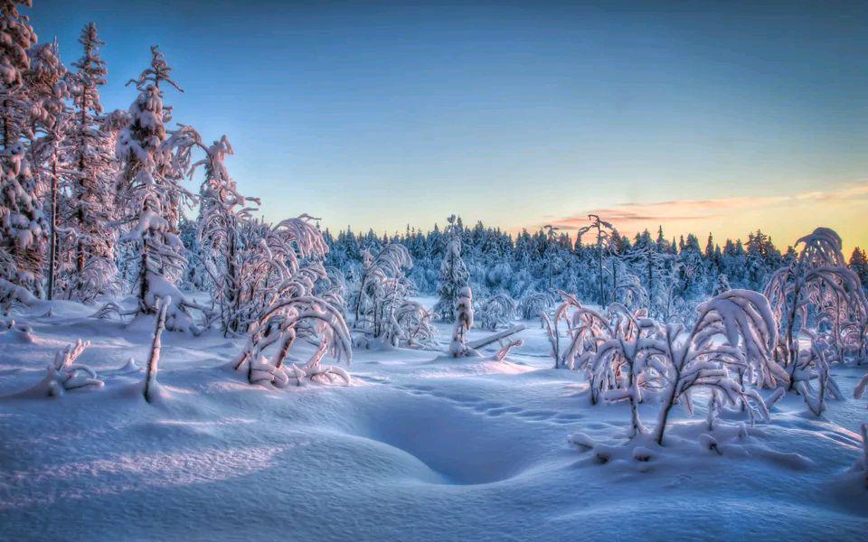 手机版手机游戏_雪手机游戏_好玩的手机滑雪游戏