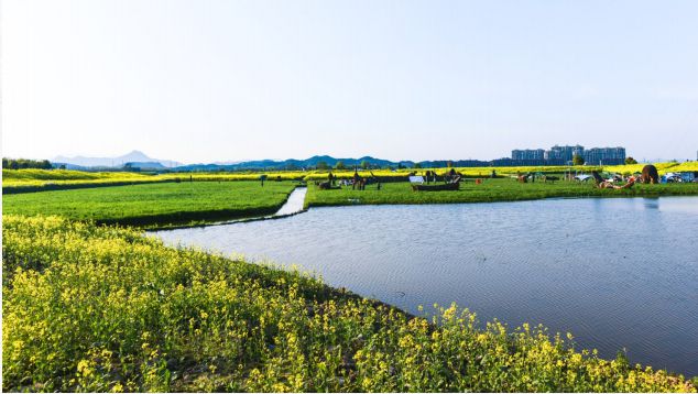 梅勒芙_梅勒芙会离队吗_梅勒芙和虎哪个好用