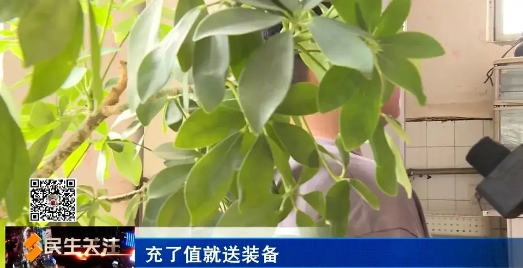 熊孩子用爸爸的手机玩游戏_爸爸玩手机怎么样_熊爸熊孩子玩游戏