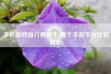 推荐手机游戏大王_我要看大王的游戏是真的_大王游戏怎么玩