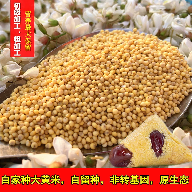 粽子糯米包可以放多久_粽子糯米包可以冷冻吗_1斤糯米可以包几个粽子