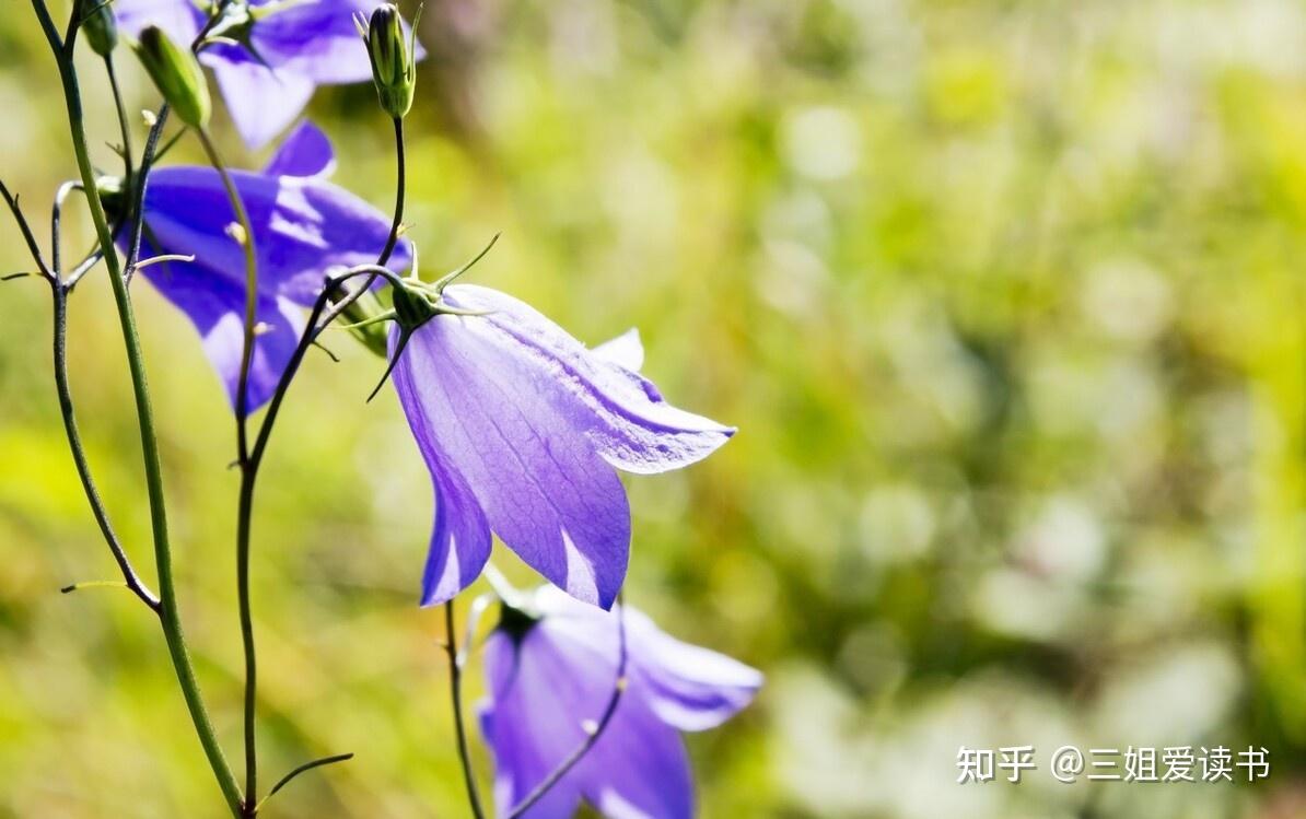 玩游戏手机卡退_退卡玩手机游戏怎么办_为什么手机卡退游戏