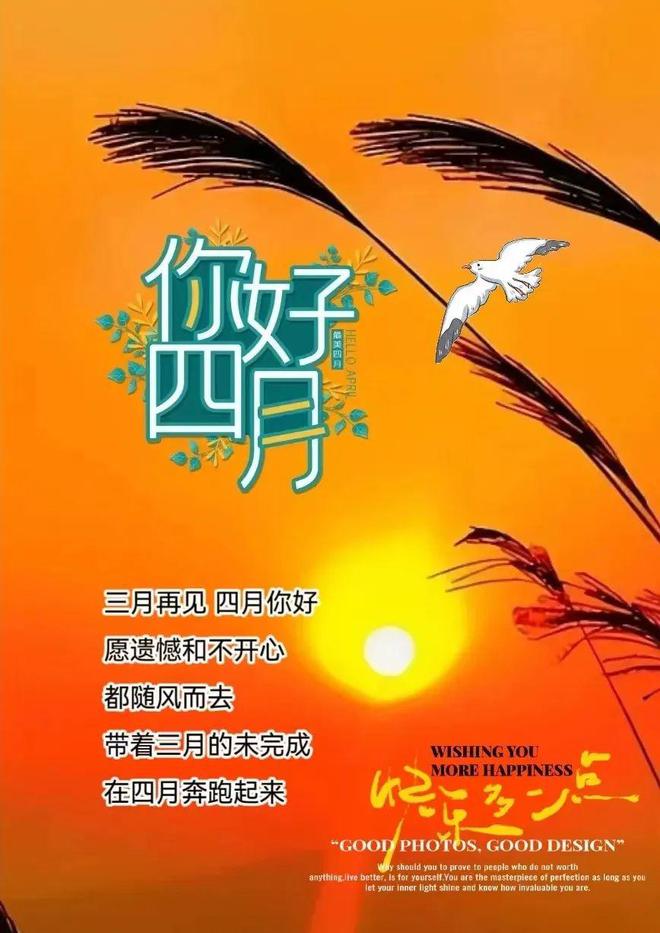 2003年4月1日_月年2023年_月日年还是日月年