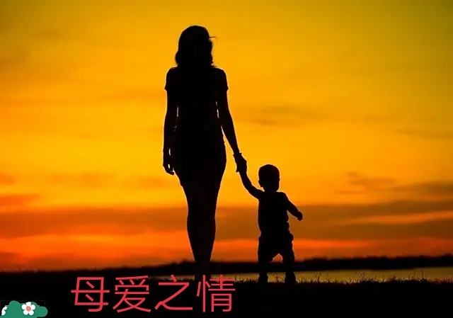 2003年4月1日_月日年还是日月年_月年2023年
