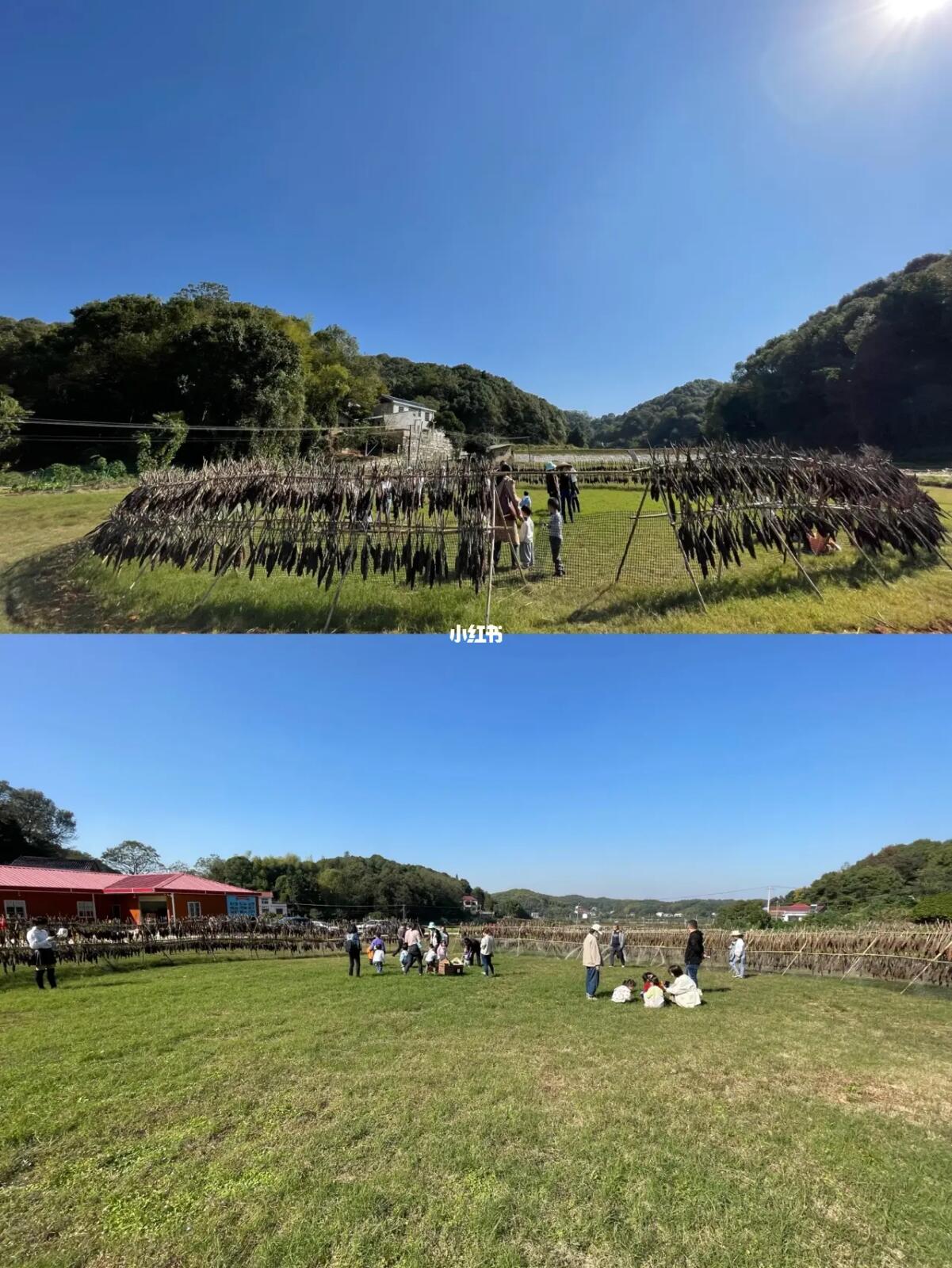田园改造手机游戏推荐_田园改造设计调研过程图片_田园改造游戏手机