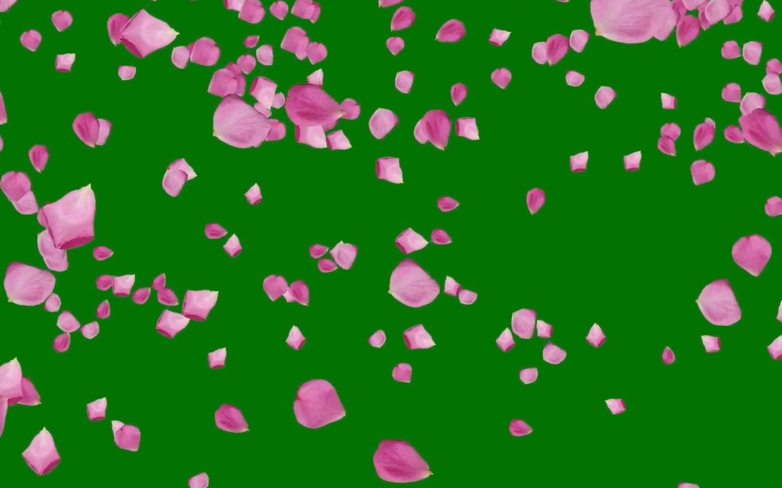 花瓣怎样剪视频_花瓣剪辑的视频_花瓣剪辑怎么剪视频