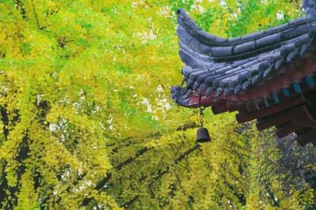 玩手机横屏游戏出汗_横屏打游戏_玩横屏游戏旋转怎么办