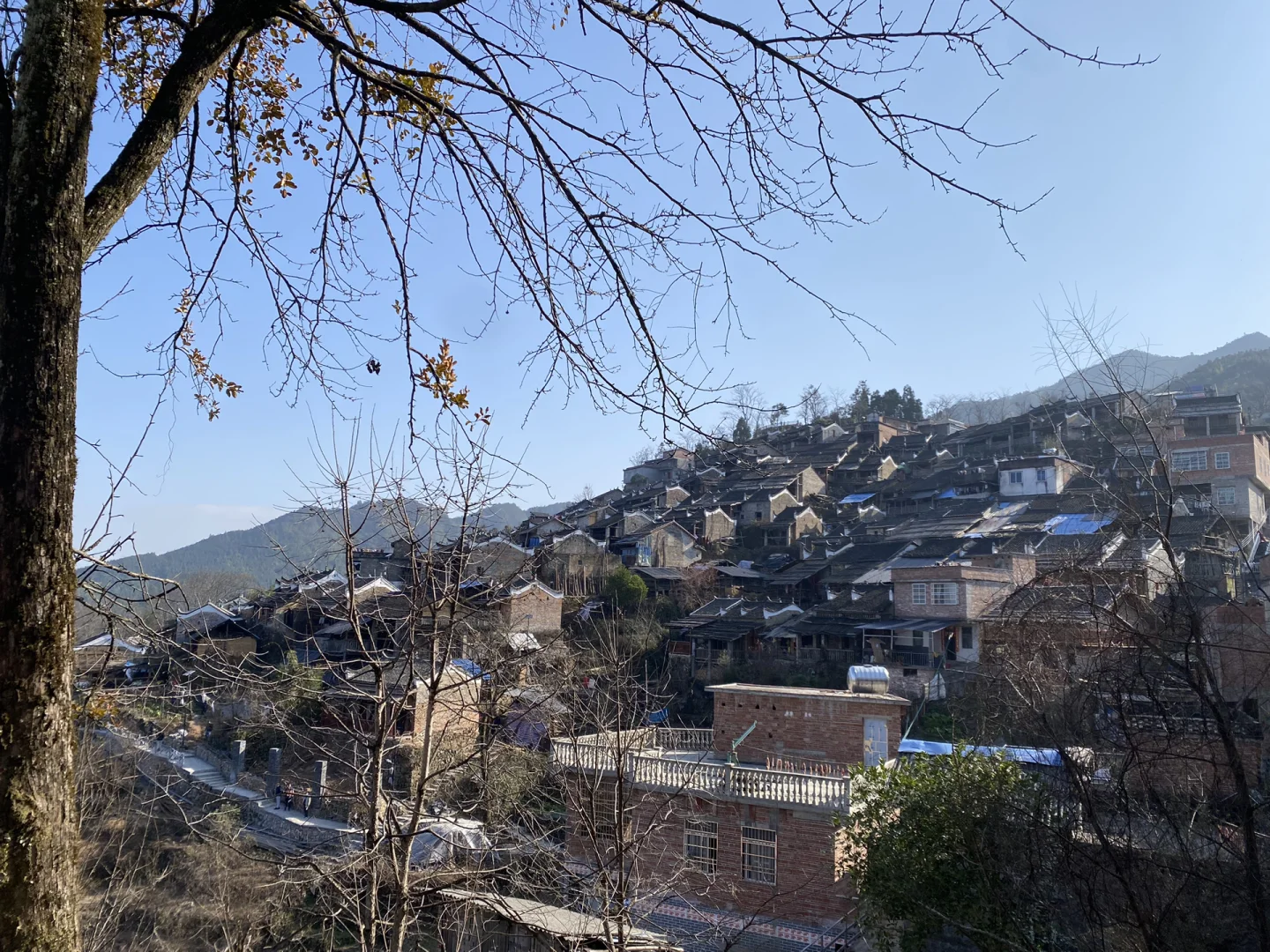远野贵树_远野_远野秋叶
