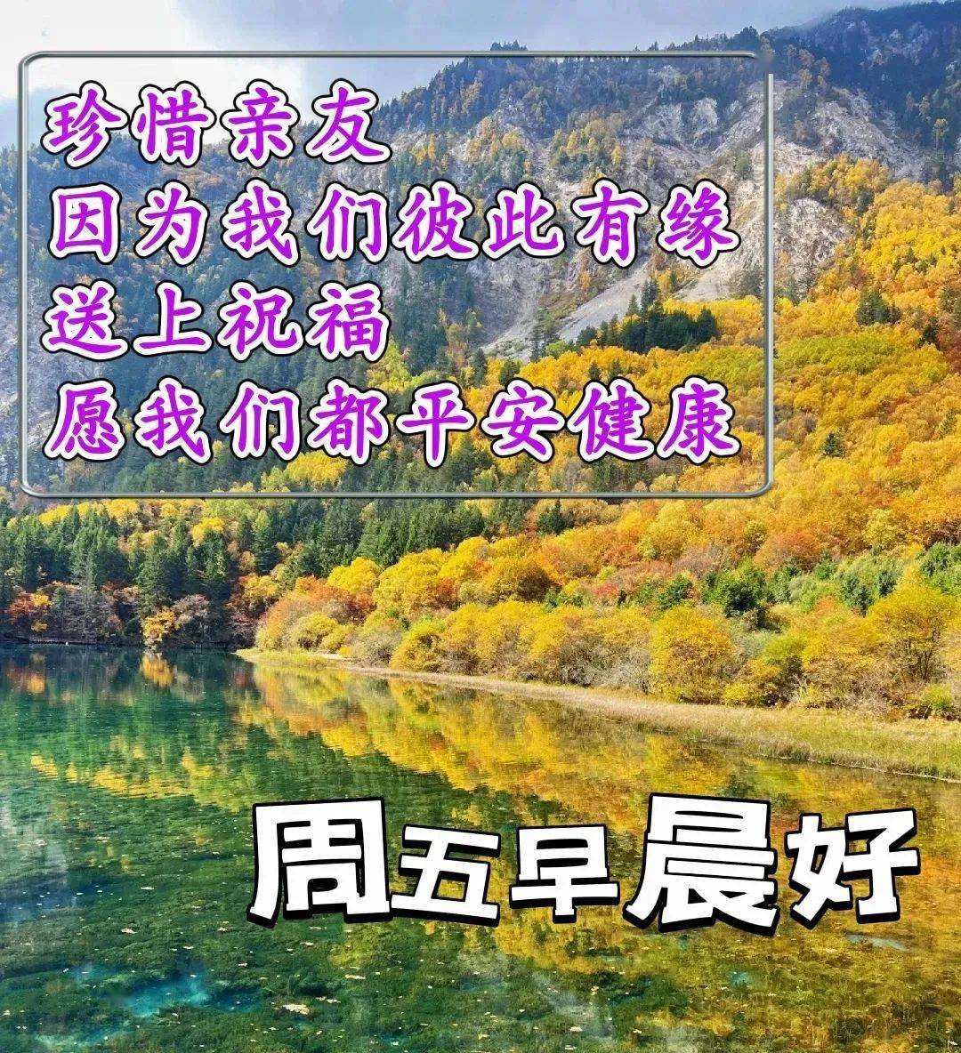 黑香菱_黑香菱是什么属性的仙子_黑香菱图片