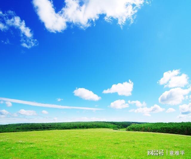白石萌音演过的电视剧_上白石萌音上什么大学_白石萌音