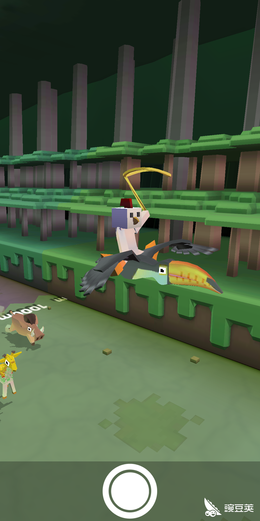 天语手机有什么游戏-天语手机游戏库藏宝贝,疯狂动物园等小游戏让你玩得不亦乐乎(图2) 天语手机游戏有几个版本_天语手机里的一款游戏_天语手机有什么游戏