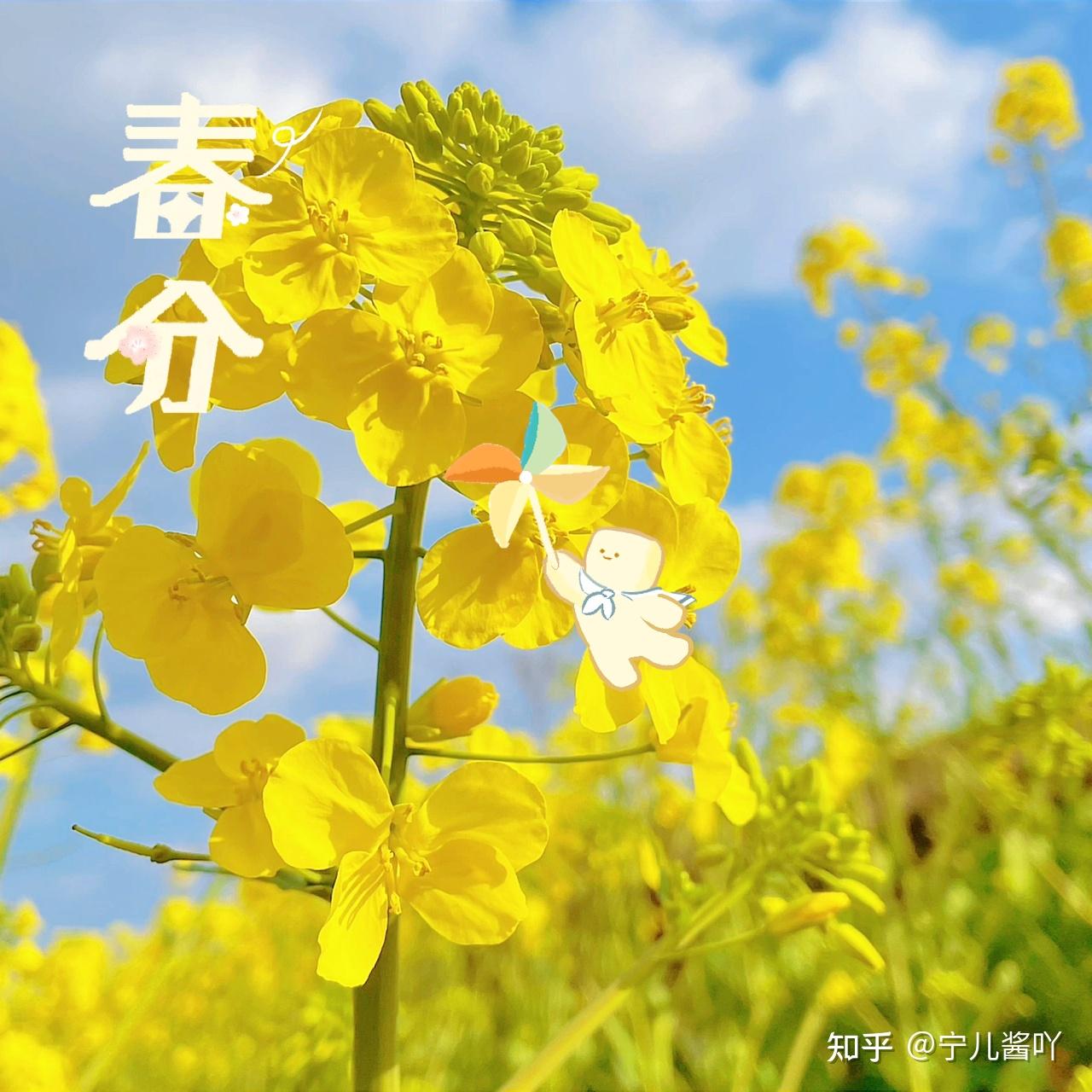 2022春分_春分2022的几月几日_春分2022年什么时间