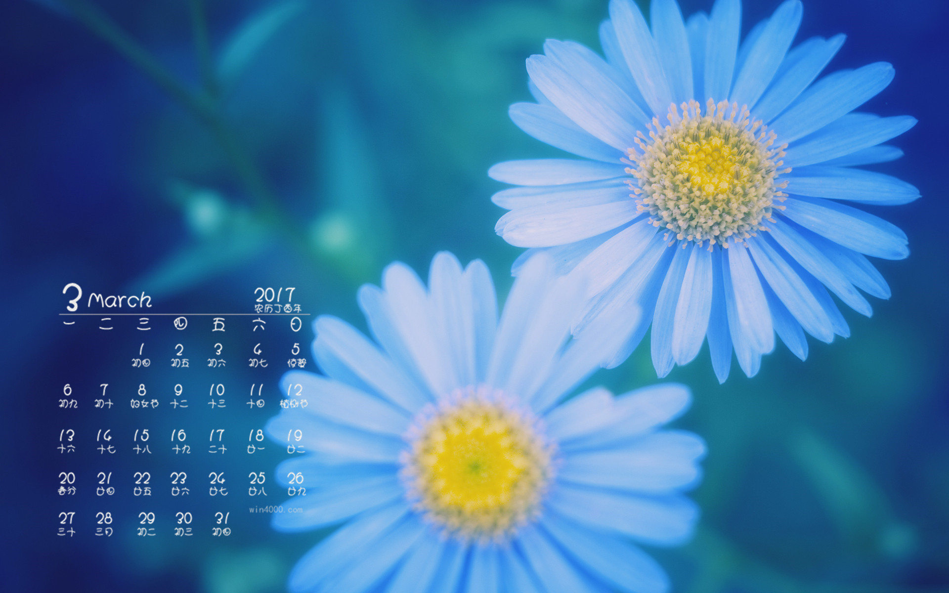 日历表年月简笔画_2017年日历表_日历表年历