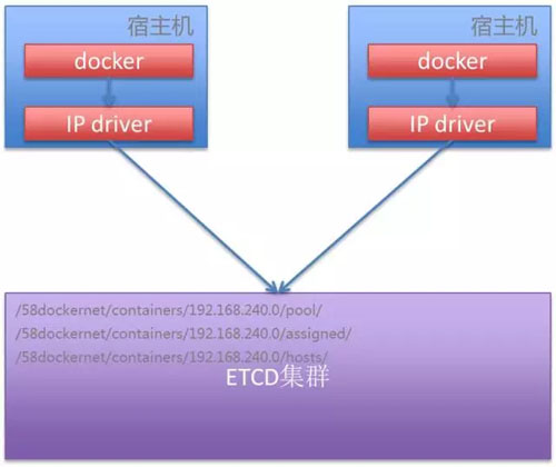 查看网络ip_docker查看网络_查看网络是否正常